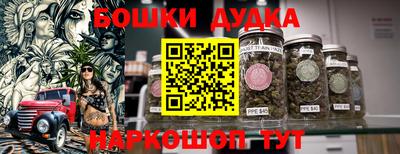 Альфа ПВП Обь