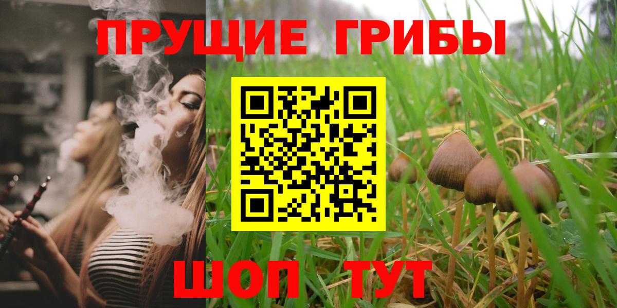 Галлюциногенные грибы GOLDEN TEACHER  Вход с VPN  Галлюциногенные грибы MAGIC MUSHROOMS  Реутов 